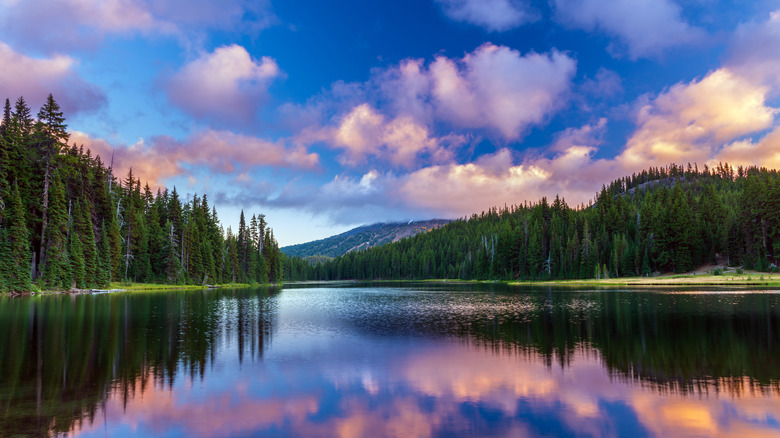 La vue du lac Todd, Oregon