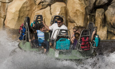 Les erreurs dangereuses et dégoûtantes font dans les parcs Disney