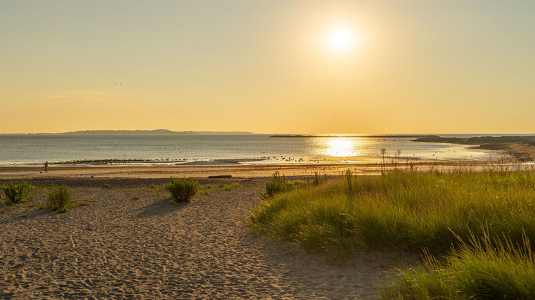 Coucher de soleil sur une plage, l'herbe