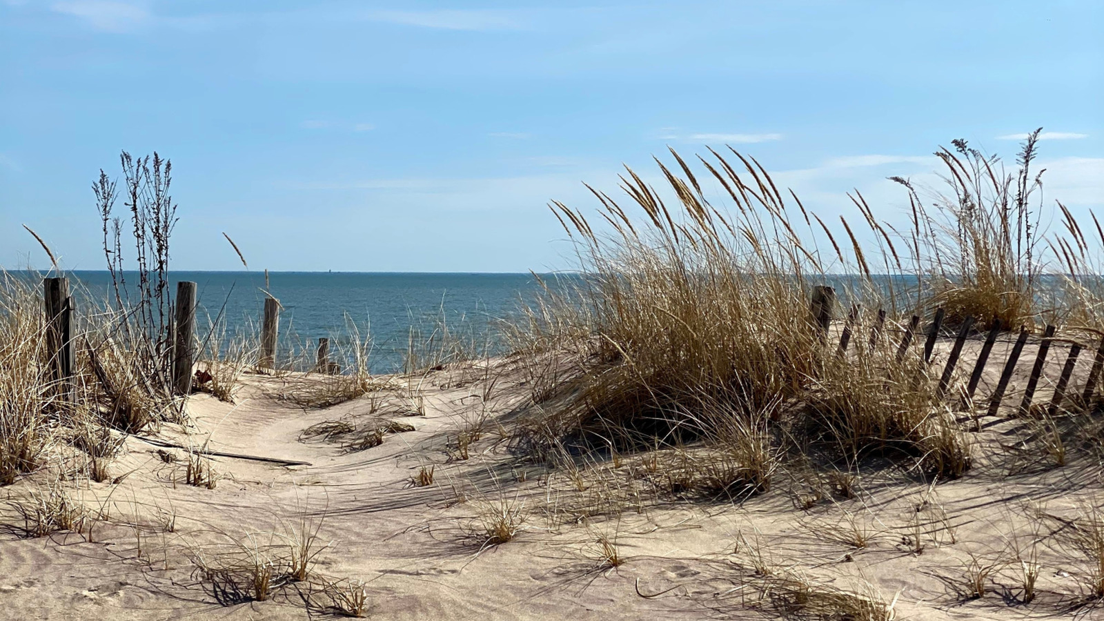 La plus ancienne plage publique d'Amérique propose une escapade historique de la côte Est pleine de plaisir en mer