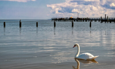 La péninsule nord de Virginia est un joyau historique avec des plages captivantes et un charme côtier