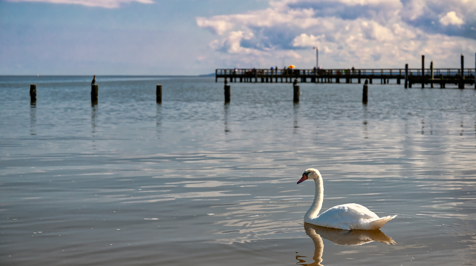 La péninsule nord de Virginia est un joyau historique avec des plages captivantes et un charme côtier