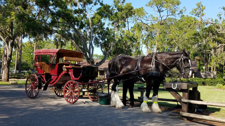Fort Wilderness Horse et Carriage Trees