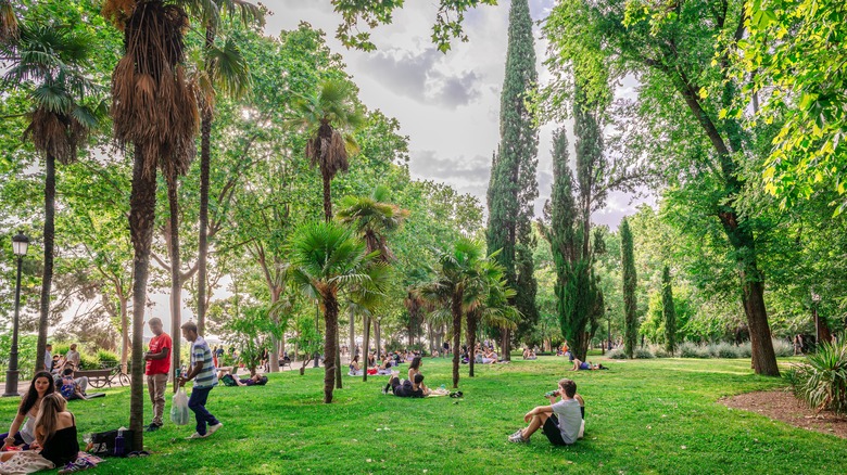 Des gens qui ont des pique-niques dans un parc entouré de verdure luxuriante