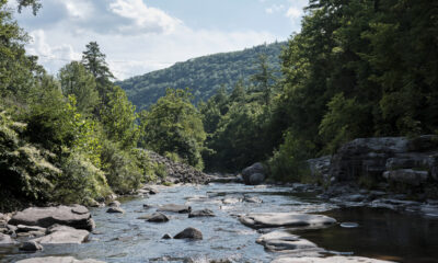 Un terrain de camping confortable dans les montagnes Catskill de New York offre une évasion tranquille d'un ruisseau pittoresque