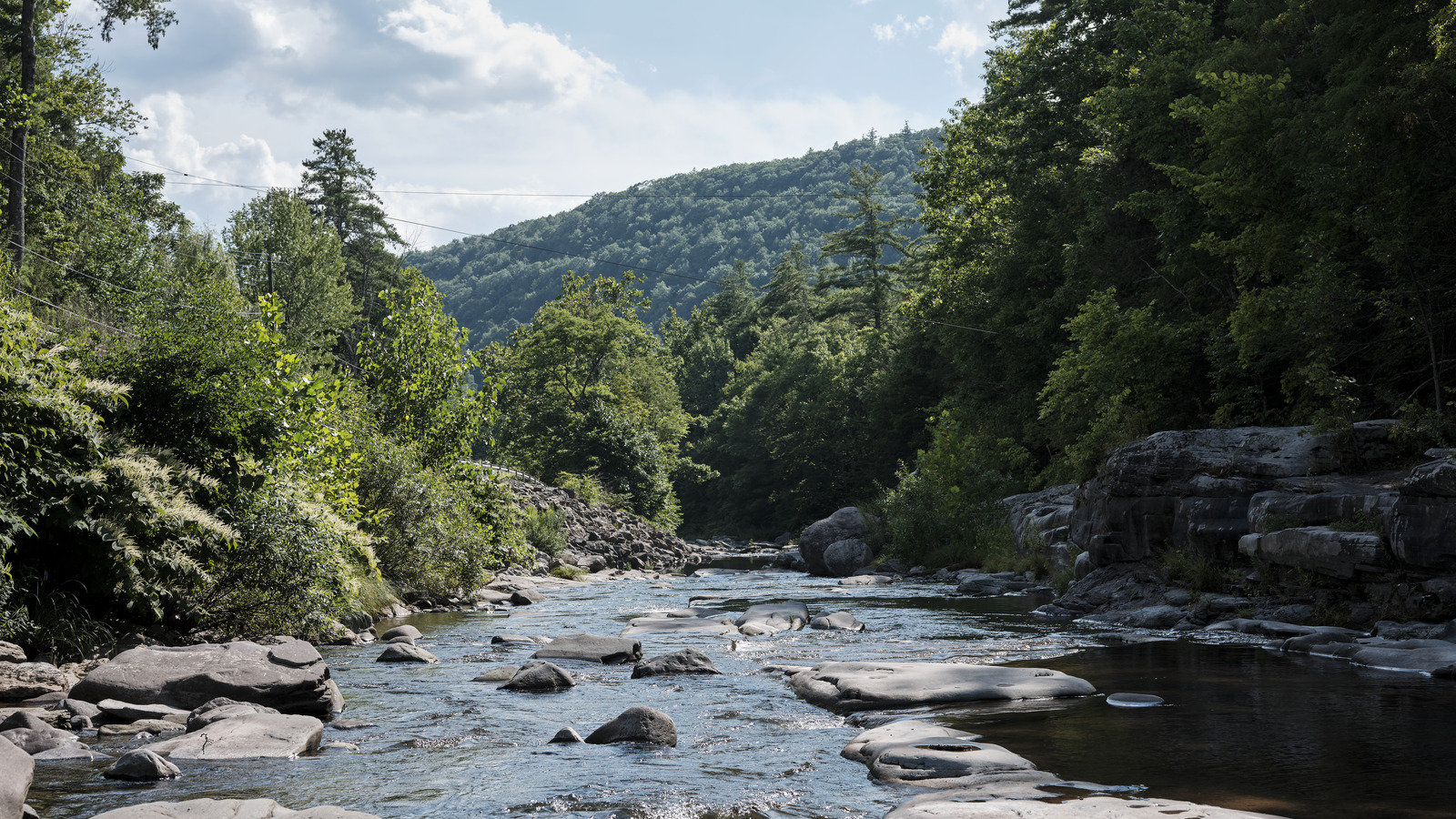 Un terrain de camping confortable dans les montagnes Catskill de New York offre une évasion tranquille d'un ruisseau pittoresque