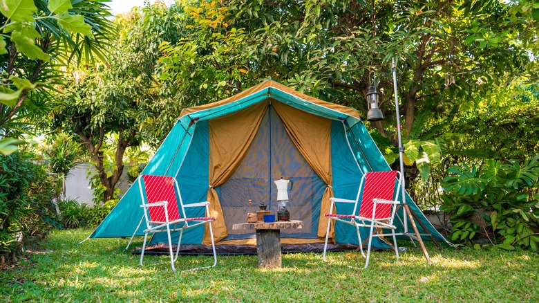 Un camping avec du texte et deux chaises de camping entourées de verdure