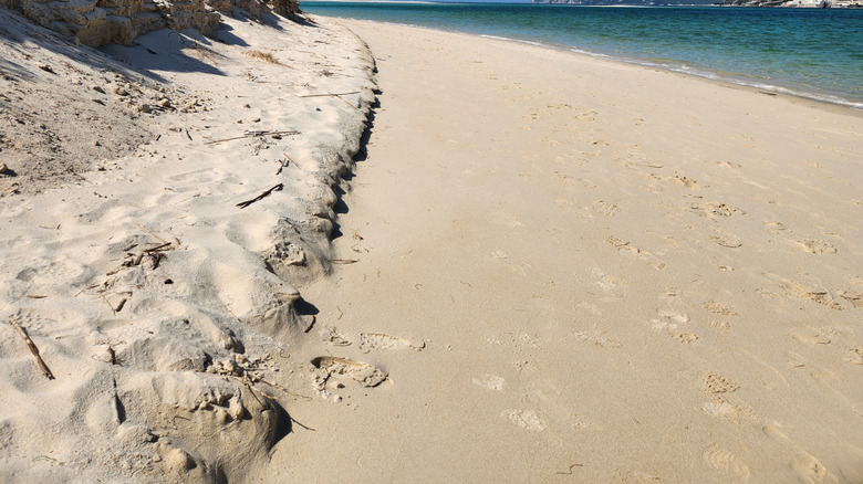 Une plage avec du sable blanc et des falaises au loin