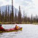 Raisons effrayantes pour lesquelles la réserve nationale des rivières Yukon-Charley Rivers de l'Alaska est si dangereuse