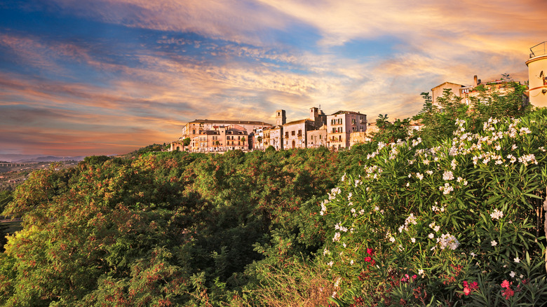 Vue aérienne de la vieille ville de Vasto entourée de verdure