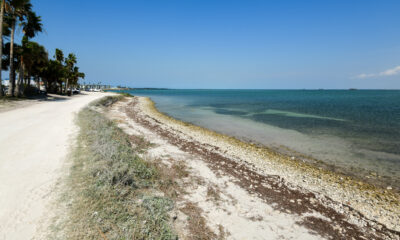 Évitez les foules de Tampa dans cette ville éblouissante du golfe de Floride avec de belles plages de sable blanc