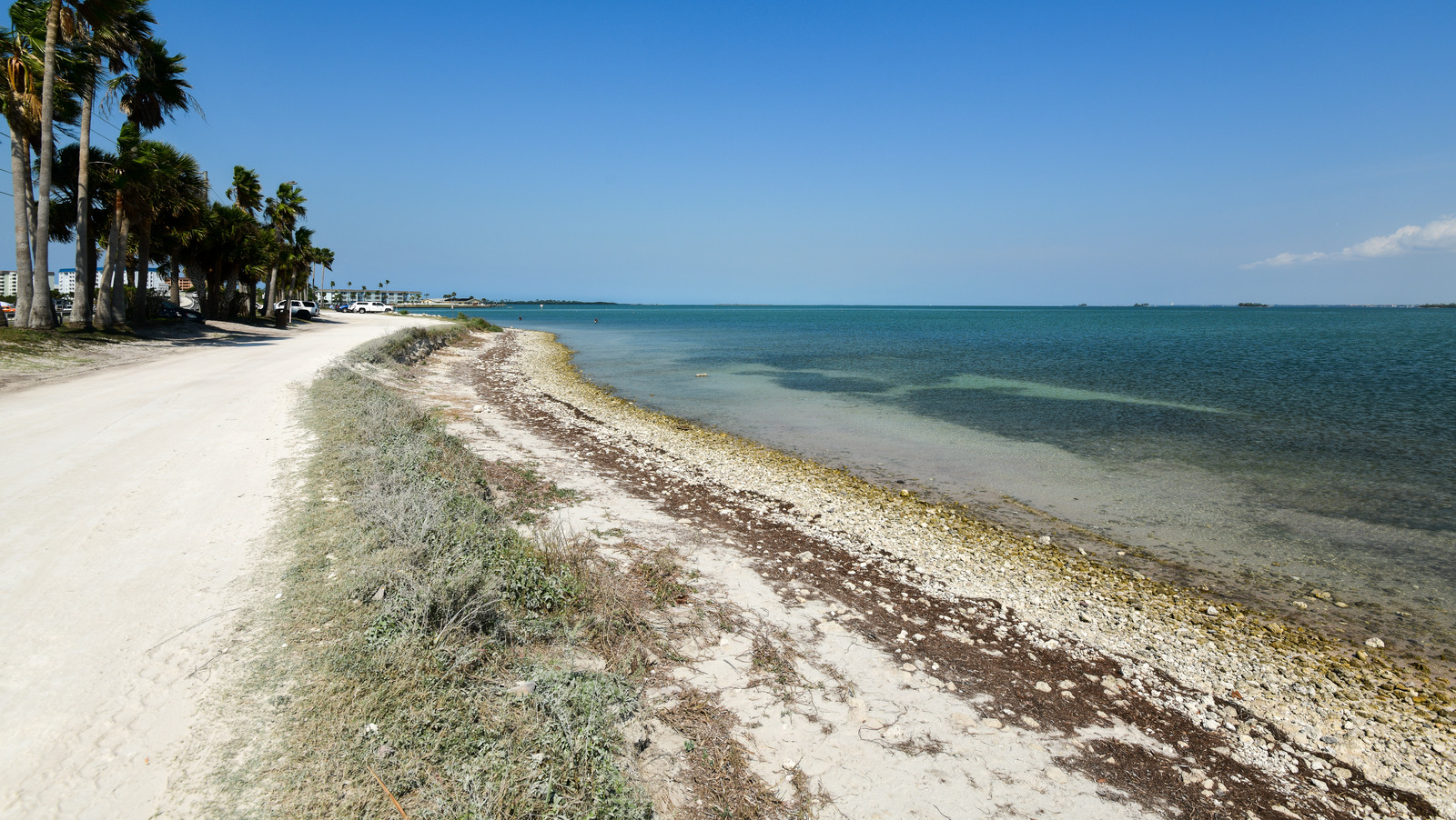 Évitez les foules de Tampa dans cette ville éblouissante du golfe de Floride avec de belles plages de sable blanc
