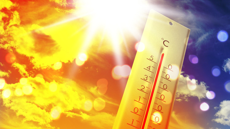 Thermomètre réglé contre un ciel orange et bleu