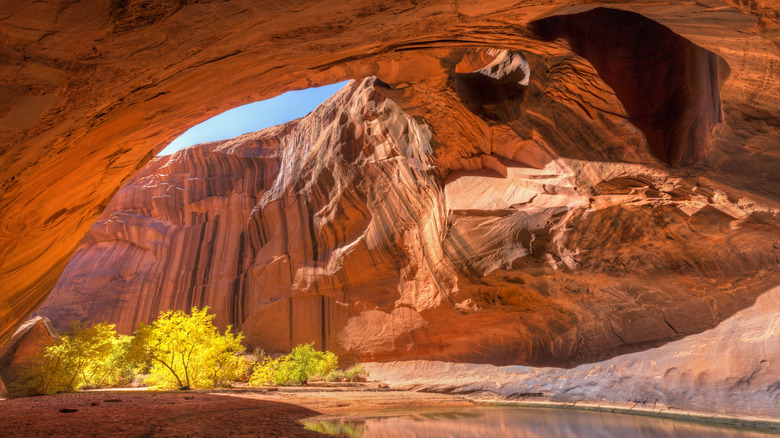 Piscine en surplomb du plafond rouge