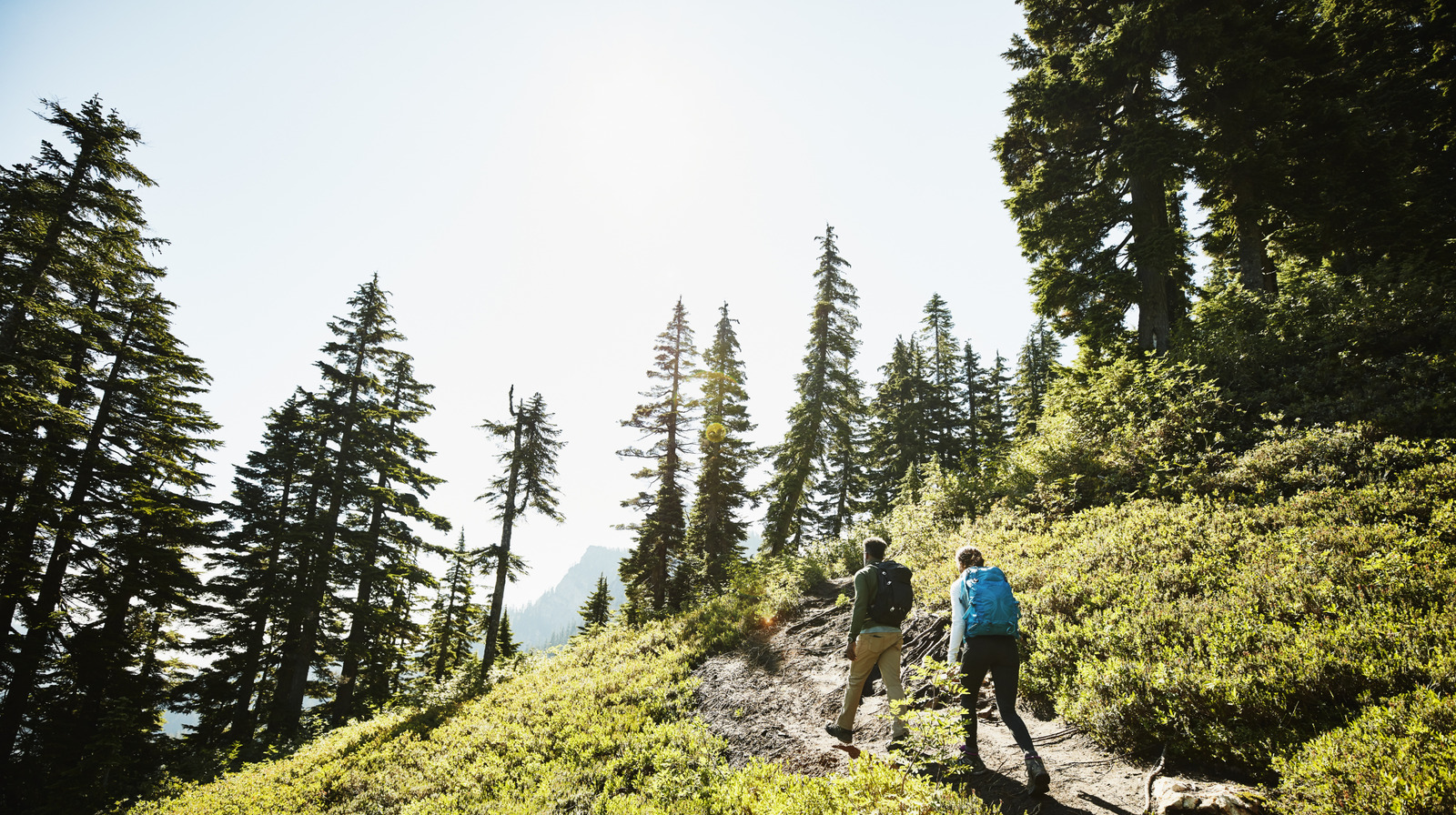 Le plus long sentier continu d'Amérique propose une aventure de randonnée épique d'un océan à l'autre