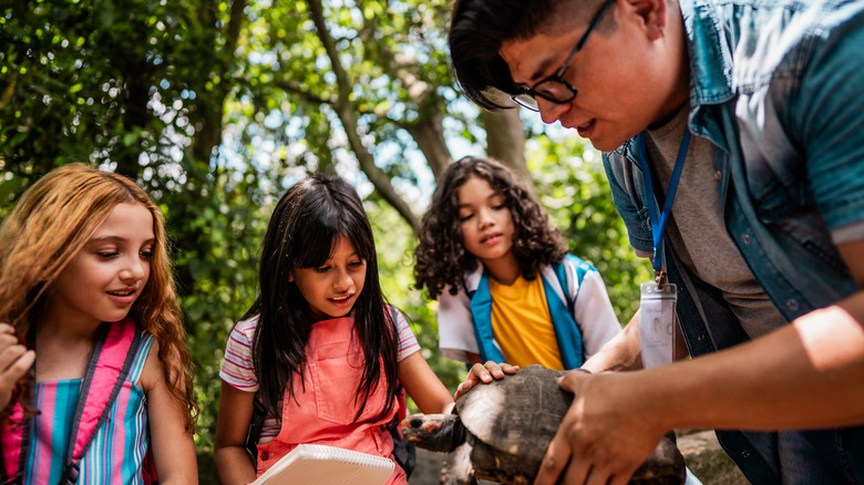 Instructeur de camp montrant une tortue aux enfants du camp