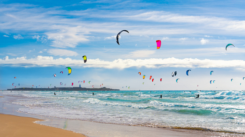 Les cerf-volants prennent de la place et du ciel à Tarifa
