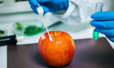 Laver vos fruits avec de l'eau n'enlèvera pas toujours les pesticides