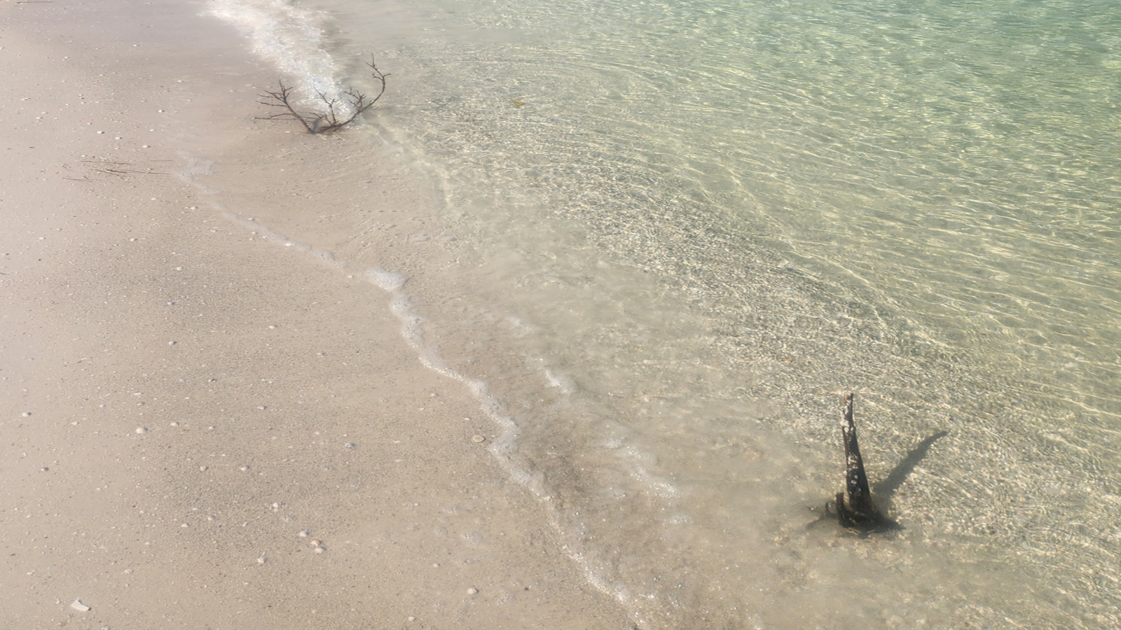Cette destination de Floride peu connue est un superbe paradis de plage plein d'animaux sauvages