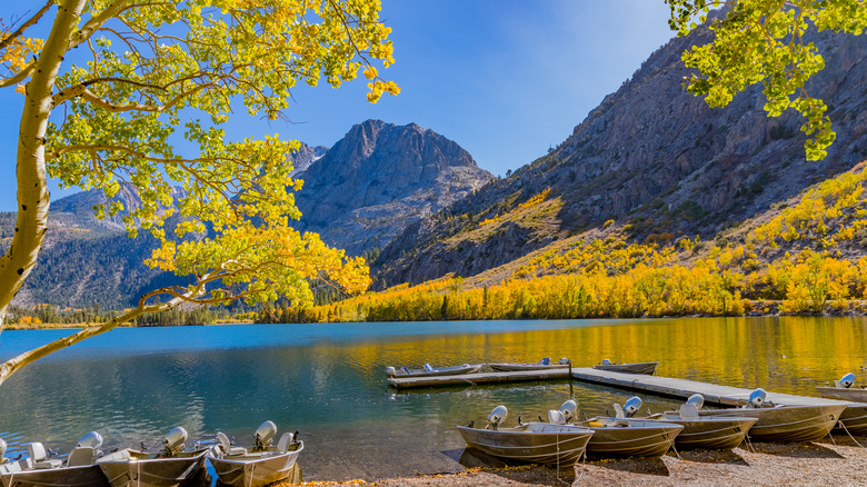 Des bateaux alignés au lac Pier à l'automne avec vue sur la montagne