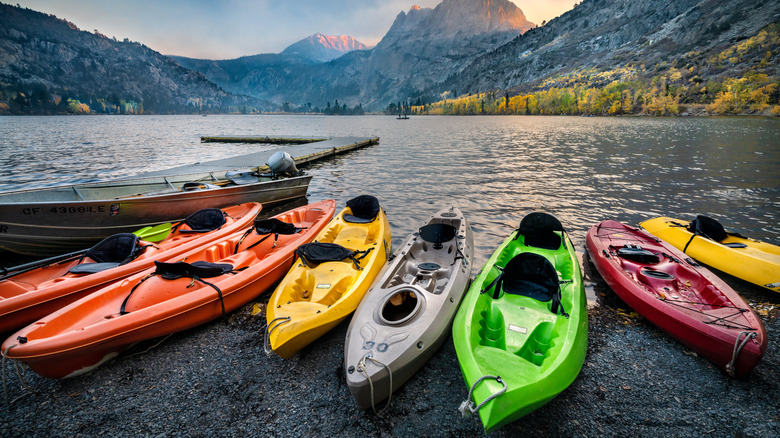 Des kayaks de différentes couleurs alignés le long du lac