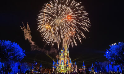Certains des meilleurs endroits pour regarder les feux d'artifice de Magic Kingdom, selon des experts Disney