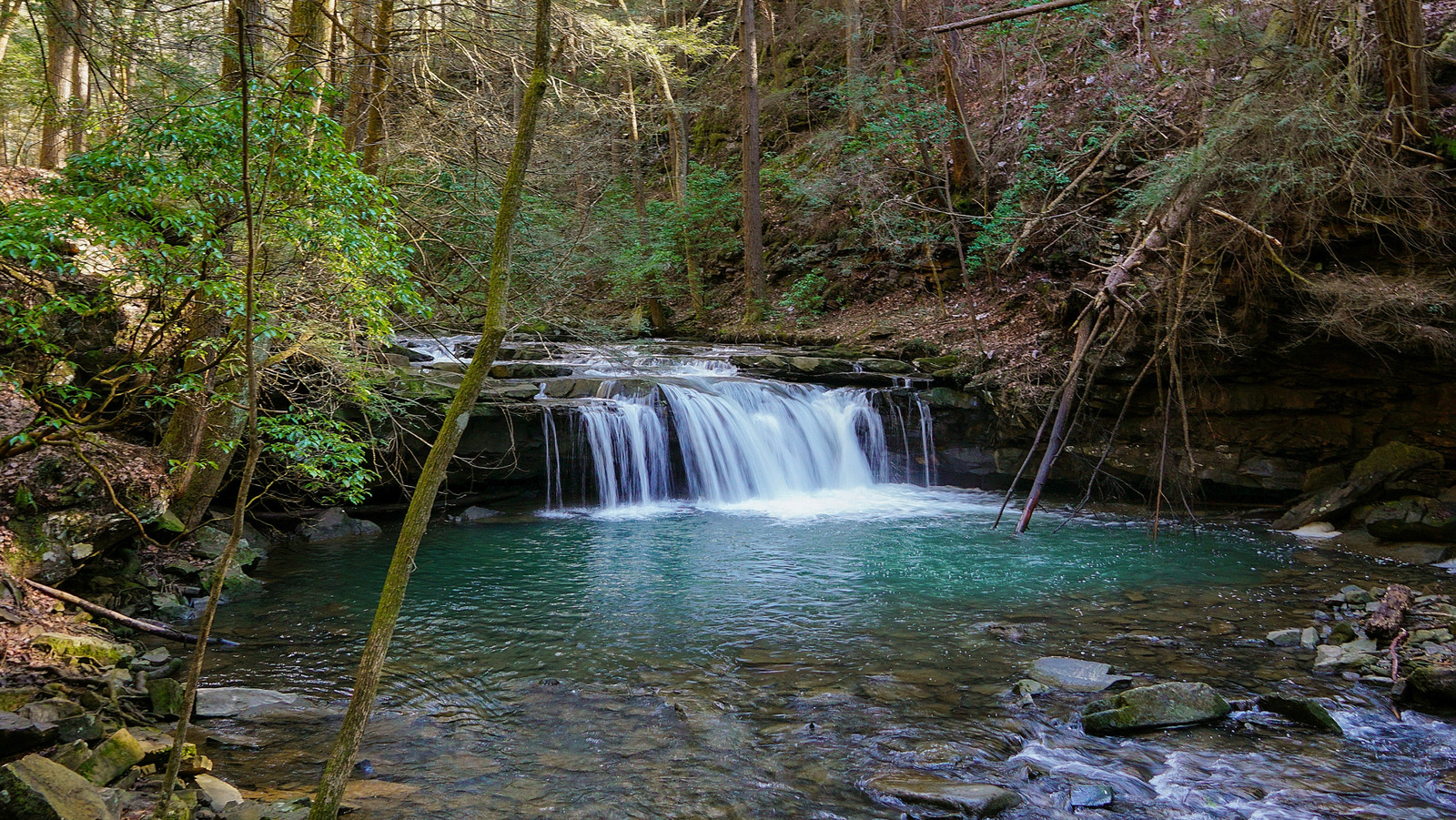 Ce parc d'État du Tennessee sous-estimé offre une randonnée incroyable et un camping de l'arrière-pays