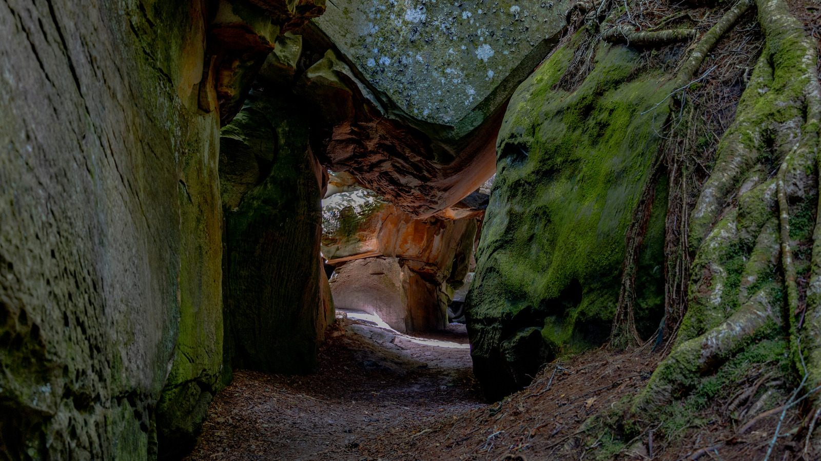 Une superbe réserve naturelle en Virginie possède des paysages d'un autre monde et des sentiers de randonnée