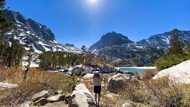 Personne qui fait la randonnée à travers de grands lacs de pin