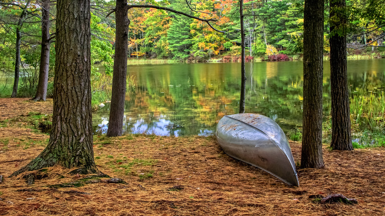 Un canoë sur le côté du lac Hamlin à l'automne