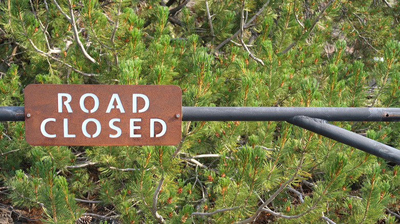 Diffusez à travers Tuolumne Meadows