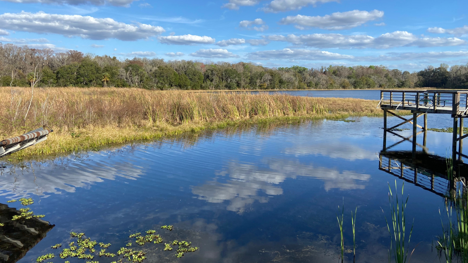 Cette ville de Floride entre Tampa et Gainesville est un joyau au bord du lac avec un charme historique