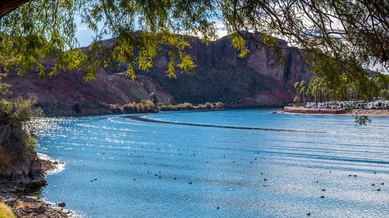 Eaux scintillantes à Buckskin Mountain State Park en Arizona