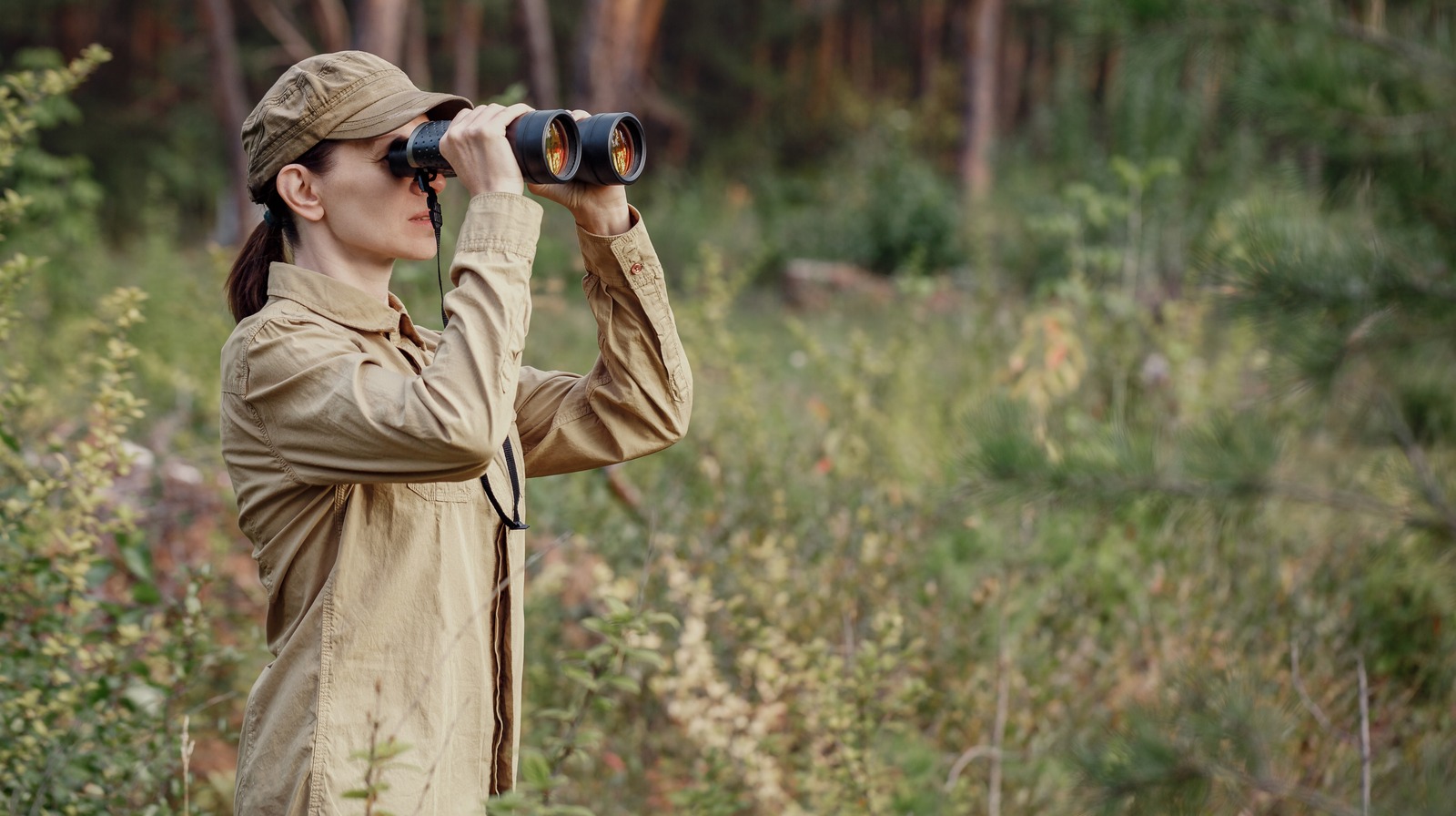 Park Rangers a utilisé cette découverte dans le parc national de Badlands comme rappel d'étiquette sévère