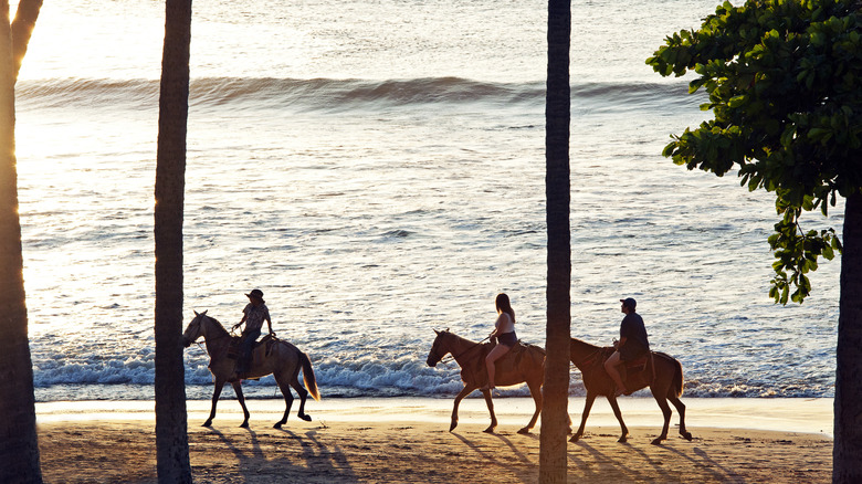 Trois personnes à cheval sur la plage