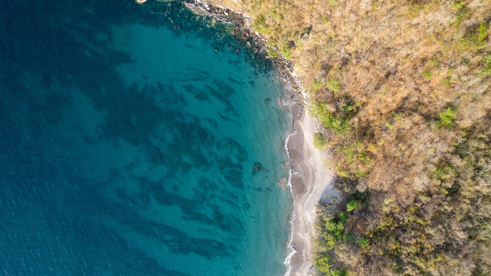 Évitez les foules du Costa Rica dans cette plage incroyablement belle et éloignée avec une magnifique eau