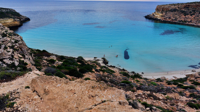 Trail jusqu'à Rabbit Beach