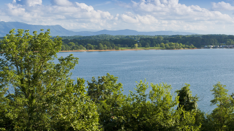 Vue d'été du lac Douglas au Tennessee, États-Unis