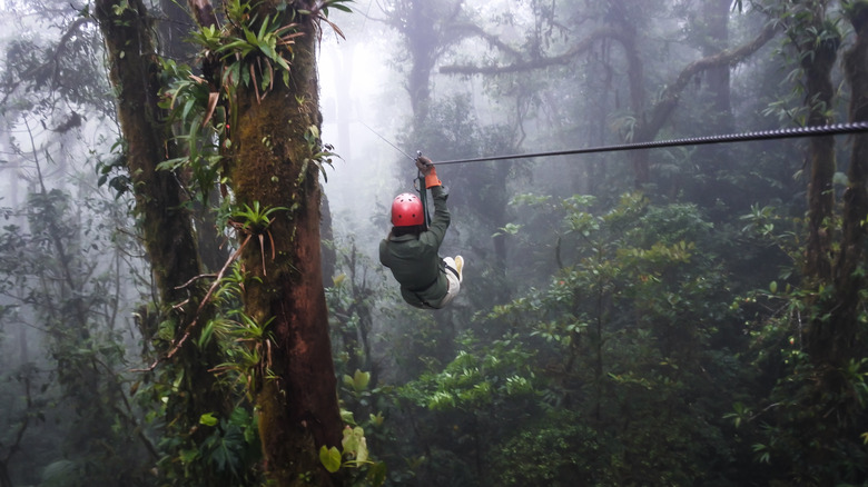 Un voyageur roule sur une tyrolienne dans la forêt de nuages costaricains