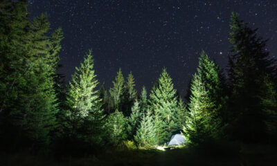 Les utilisateurs de médias sociaux ne jurent que ce camping pour le budget essentiel de Costco