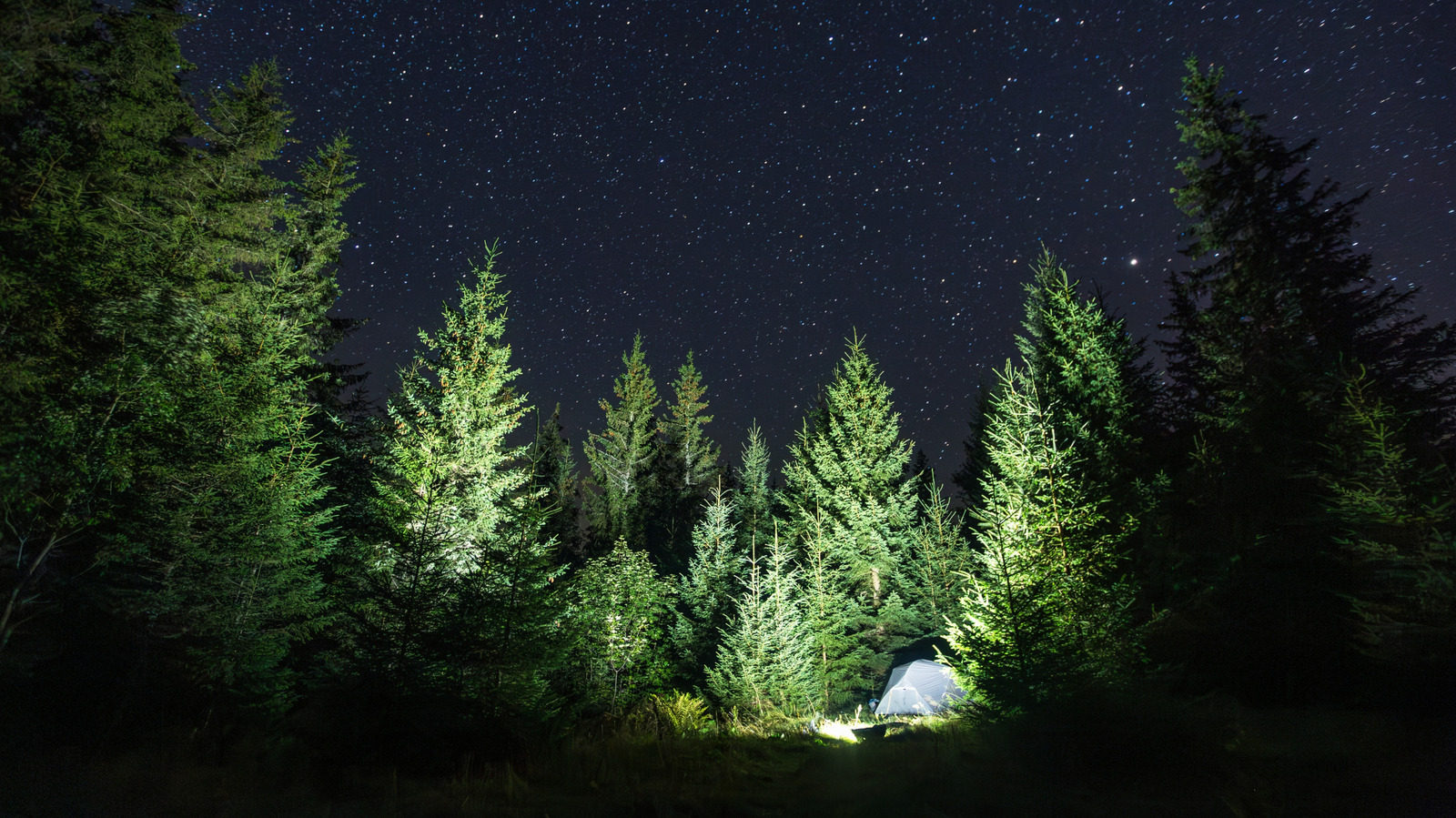 Les utilisateurs de médias sociaux ne jurent que ce camping pour le budget essentiel de Costco