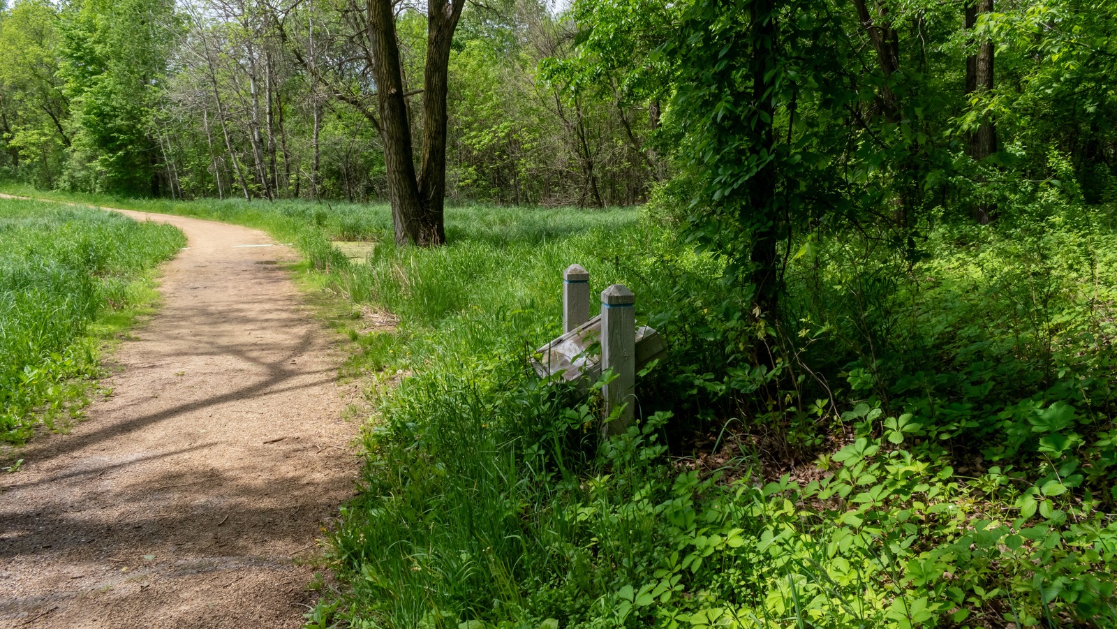 Ce parc d'État sous-estimé en Virginie a un feuillage luxuriant et des sentiers par la rivière Potomac