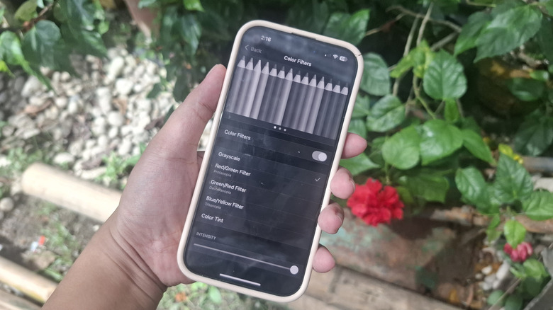 Une personne tenant l'iPhone montrant l'option de filtre de couleur en niveaux de gris