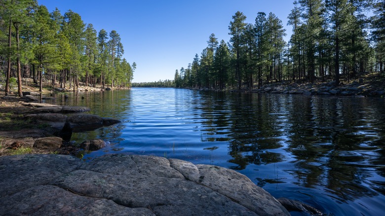 Lac serein avec des arbres et des rochers luxuriants