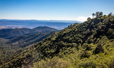 Cette forêt nationale pittoresque en Arizona est une destination sous-estimée pour les amoureux de la nature