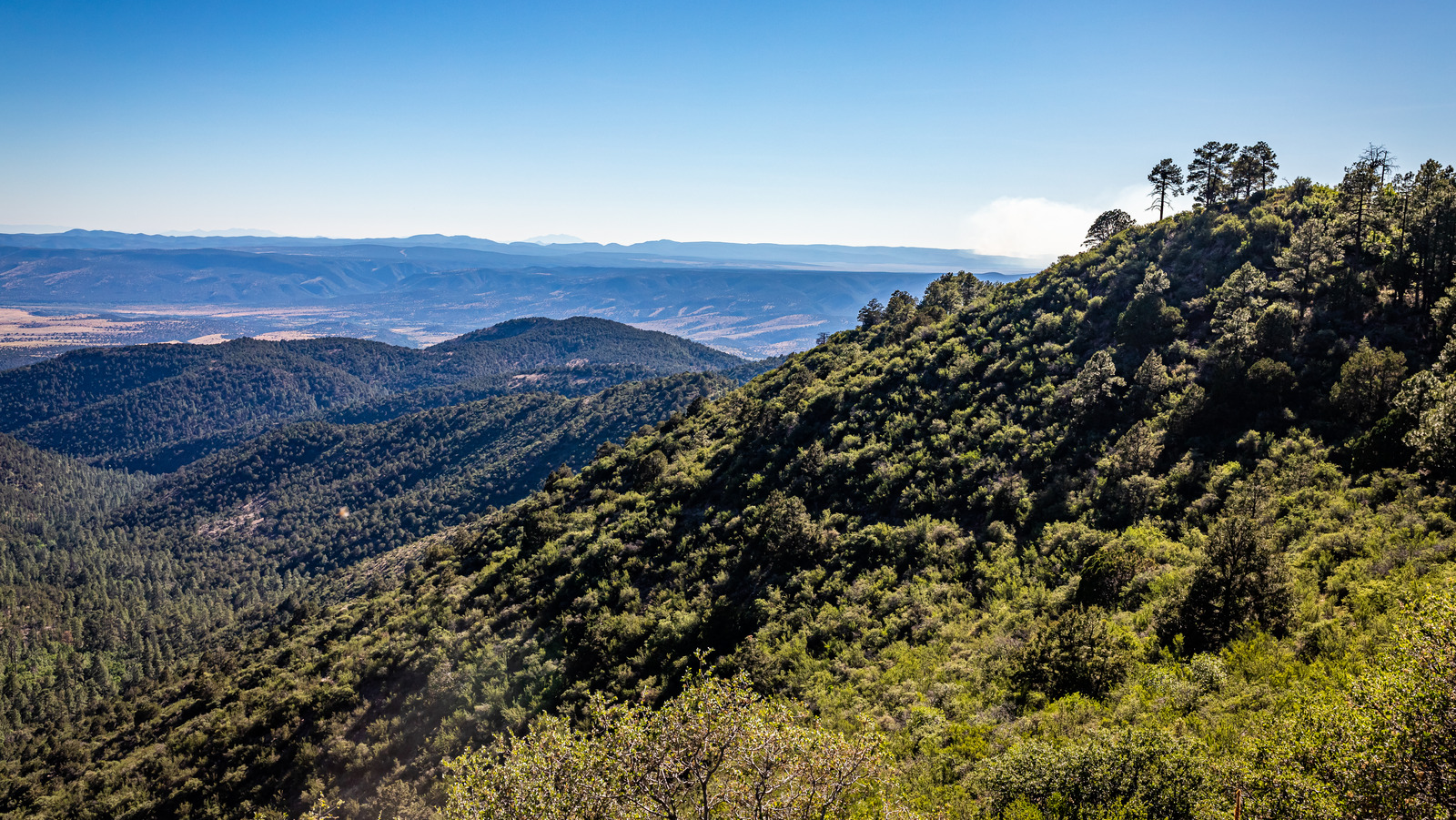 Cette forêt nationale pittoresque en Arizona est une destination sous-estimée pour les amoureux de la nature