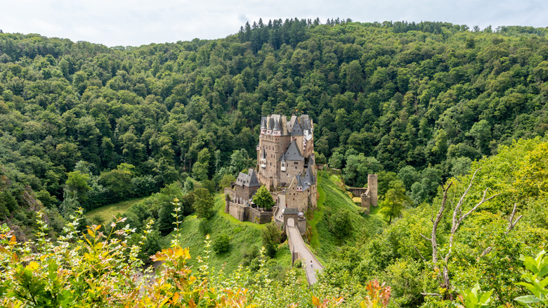 Château d'Eltz entouré par la forêt luxuriante d'Eltz