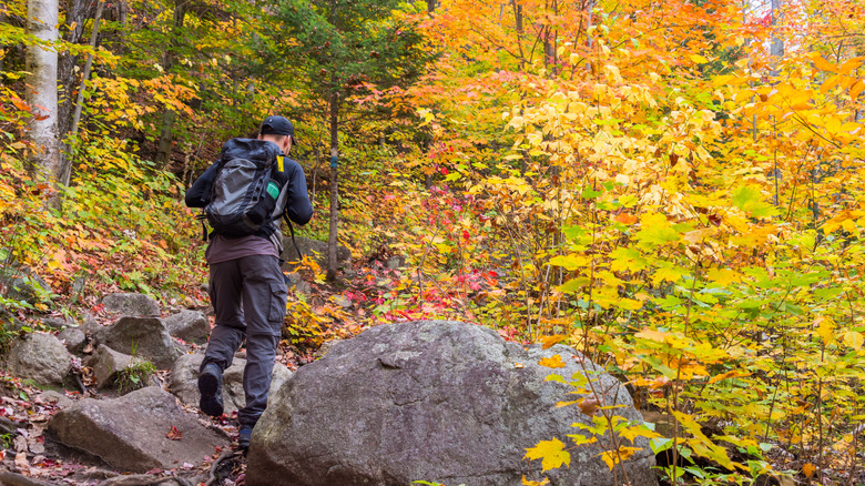Un jeune homme faisant de la randonnée dans Val-David