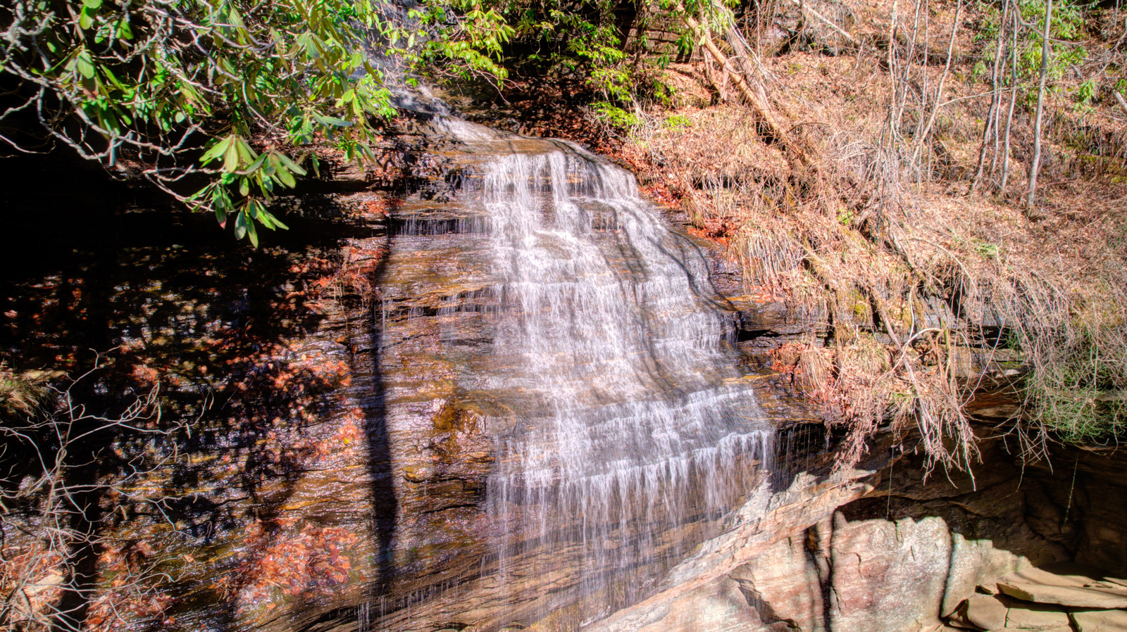 Cette superbe randonnée en cascade est un joyau caché dans la forêt nationale de Pisgah en Caroline du Nord