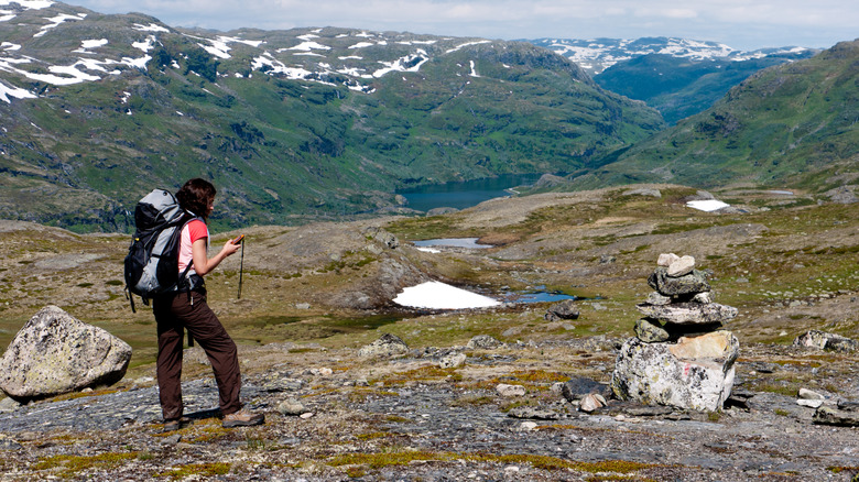 Rackpacker High dans une toundra alpine regardant le GPS